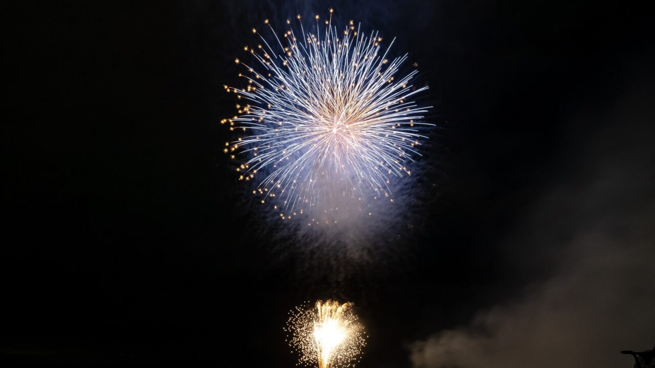 A single white chrysanthemum firework opening above a dark bay