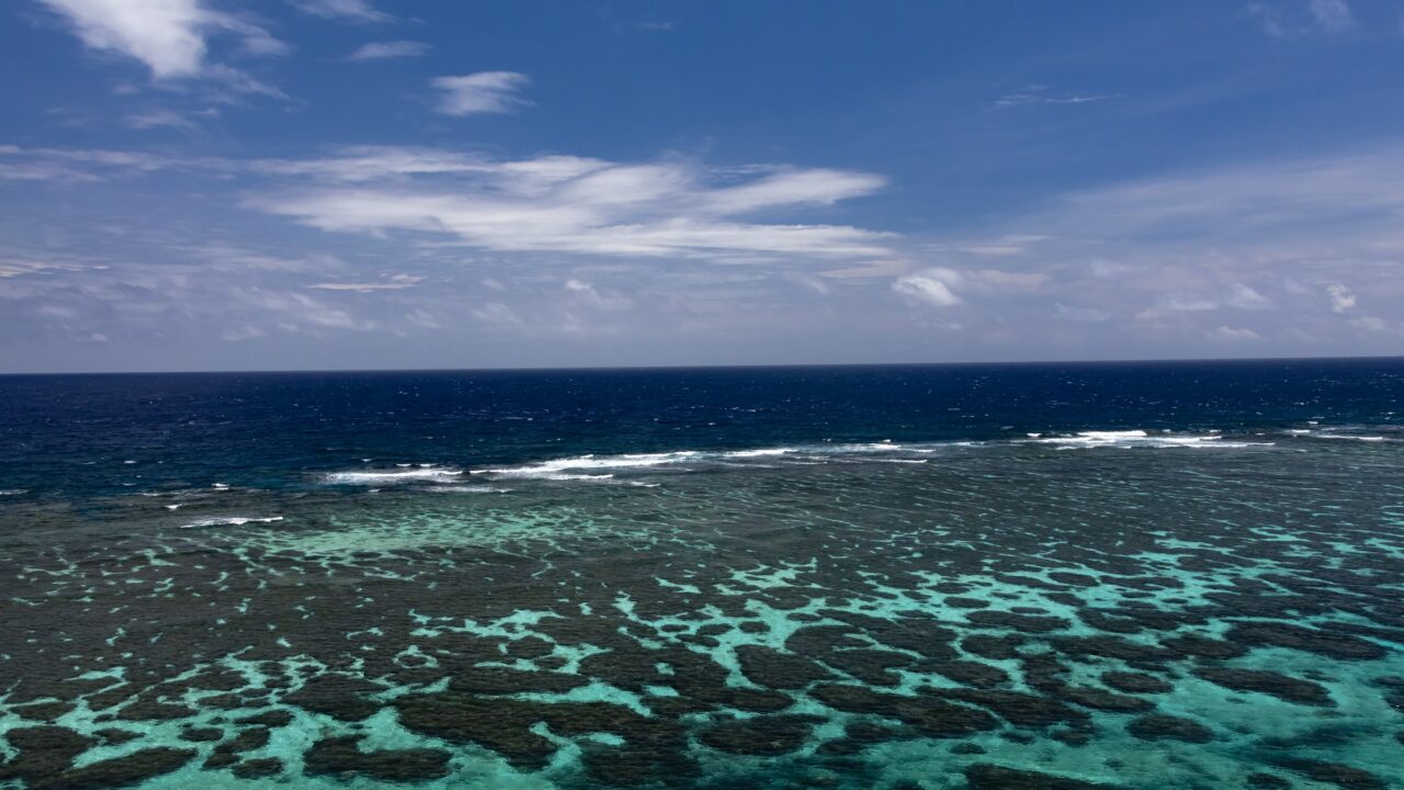 Dark coral patches under clear turquoise water seen from above
