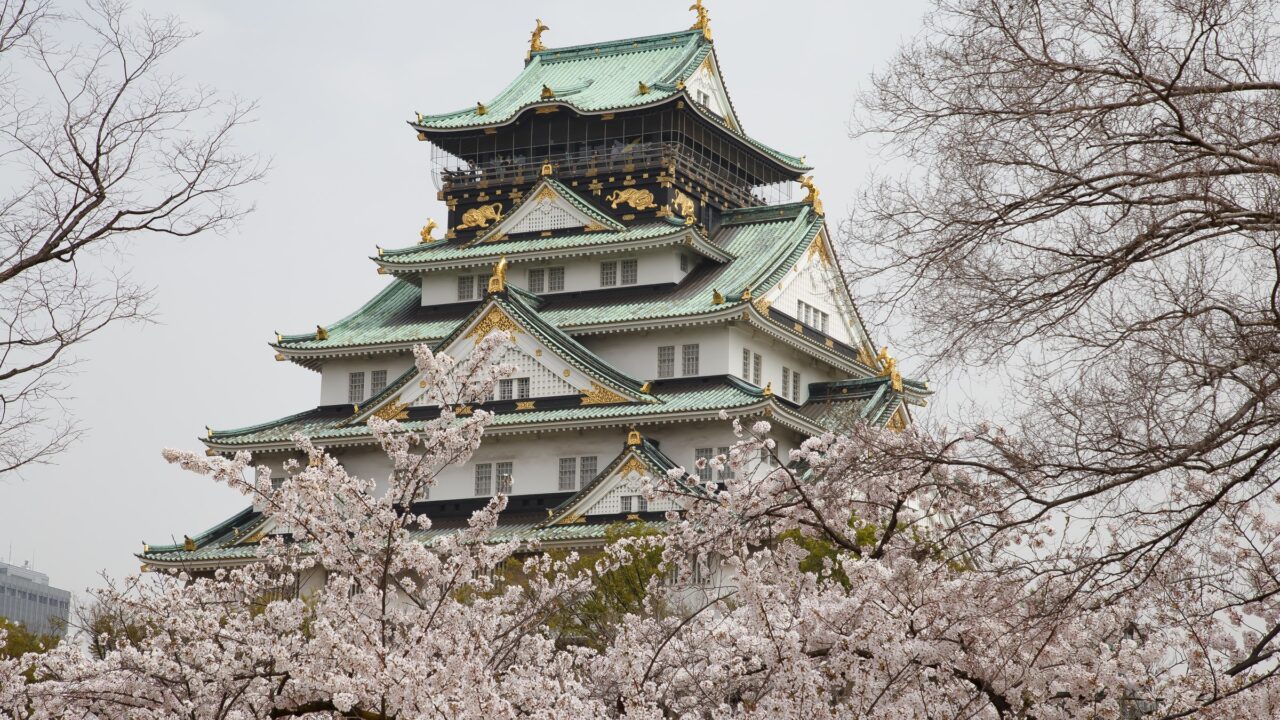 Osaka Castle keep seen through cherry blossom
