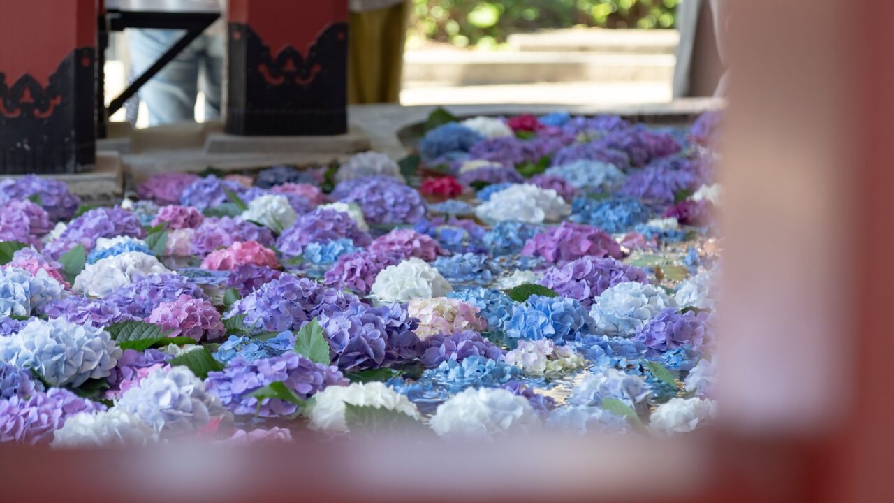 Hydrangea flowers floating in a stone water basin