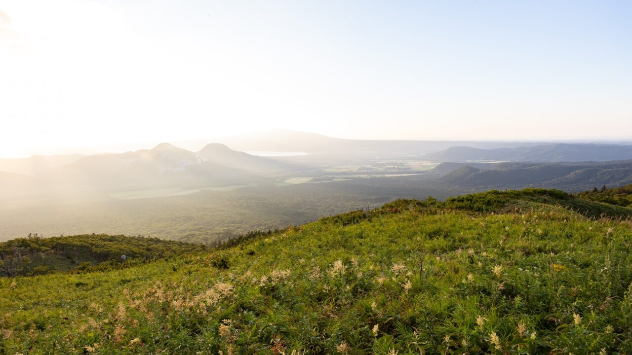 Open grassland on a highland plateau at first light